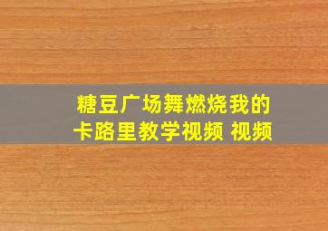 糖豆广场舞燃烧我的卡路里教学视频 视频